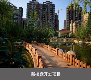 双柱升降式机械车位新楼盘开发项目