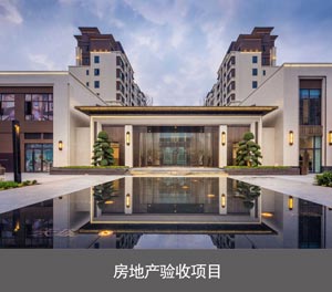 双柱升降式机械车位房地产验收项目